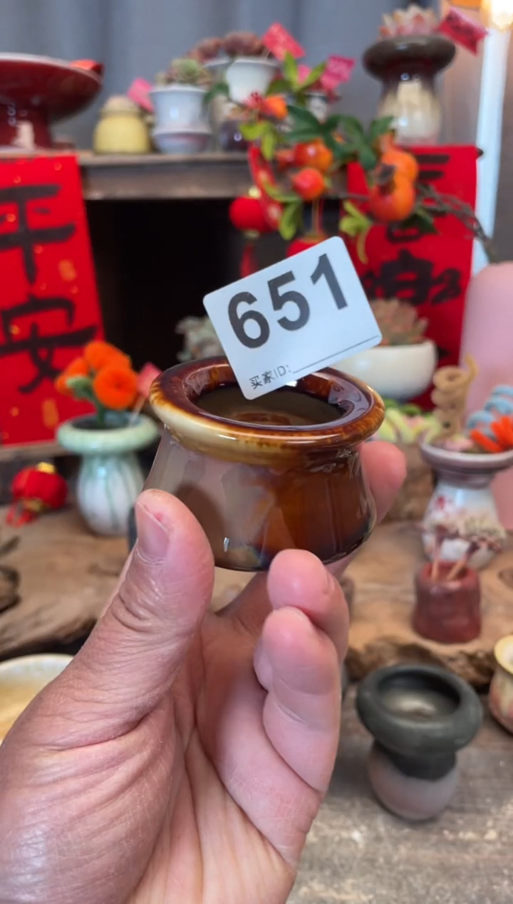 【闪购商品】摆件651知木小芳花盆