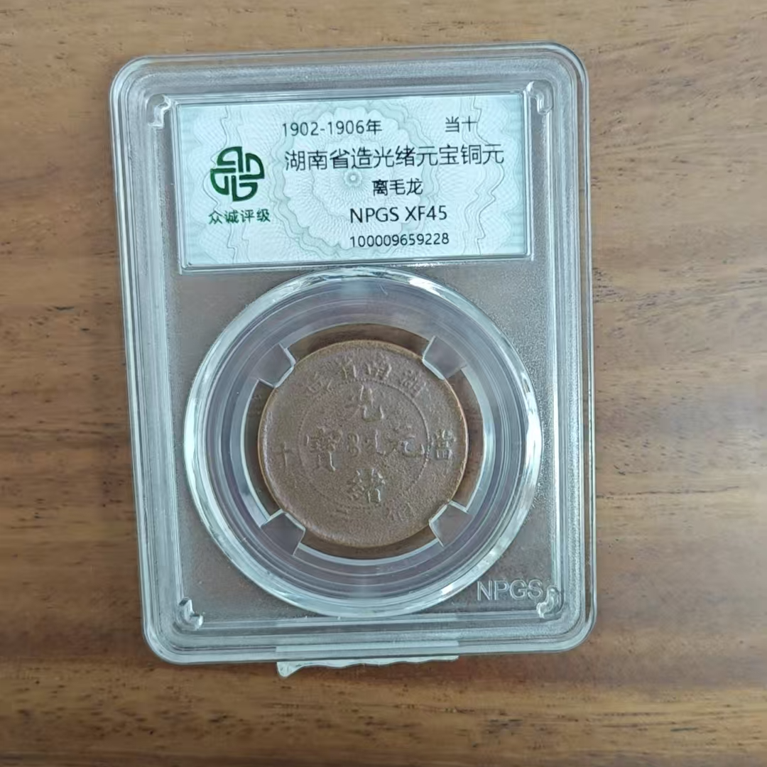 众诚评级古币/光-湖南光绪元宝铜元-离毛龙-10文/图为样品不发