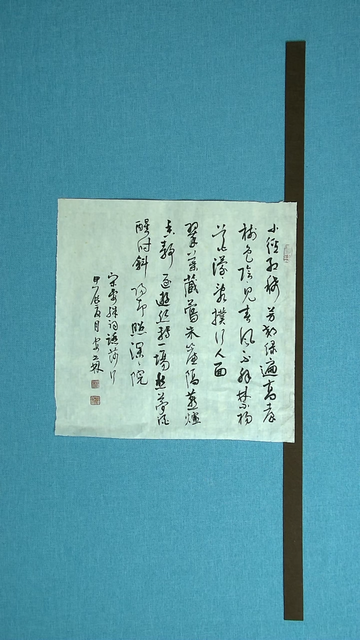 【闪购商品】书法139 甘肃安石林中书协45*45