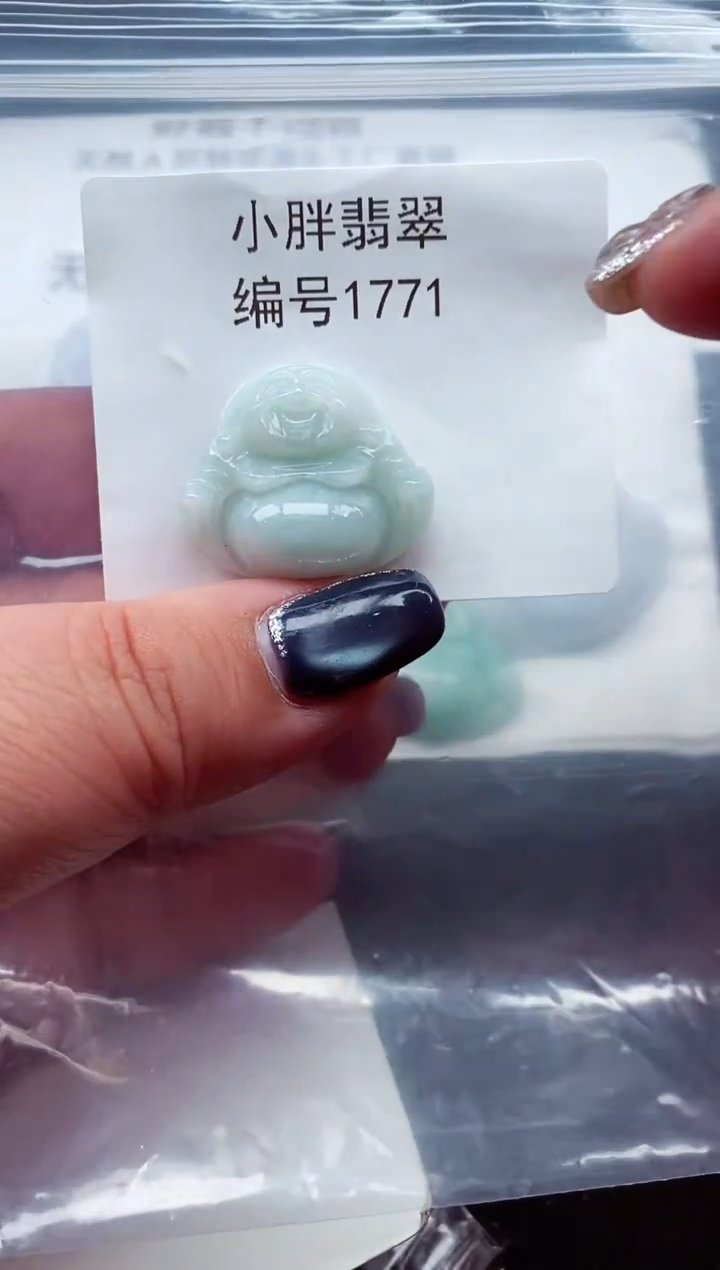 颈饰未镶嵌翡翠缅甸天然A货翡翠1771