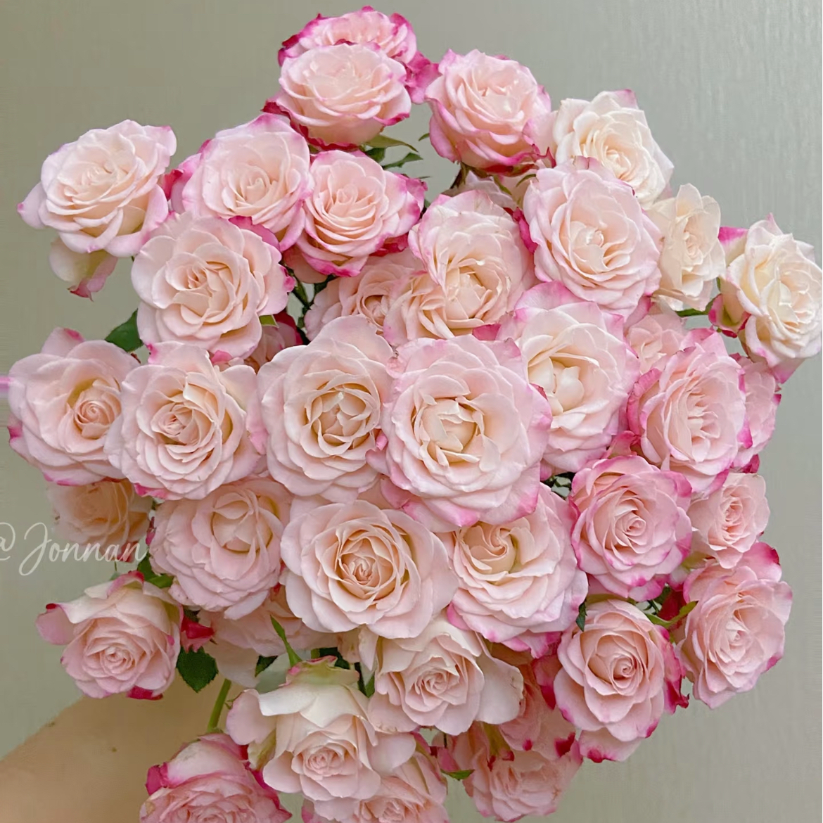 鲜花【小情人折射】同地址两单顺丰或京东送货上门