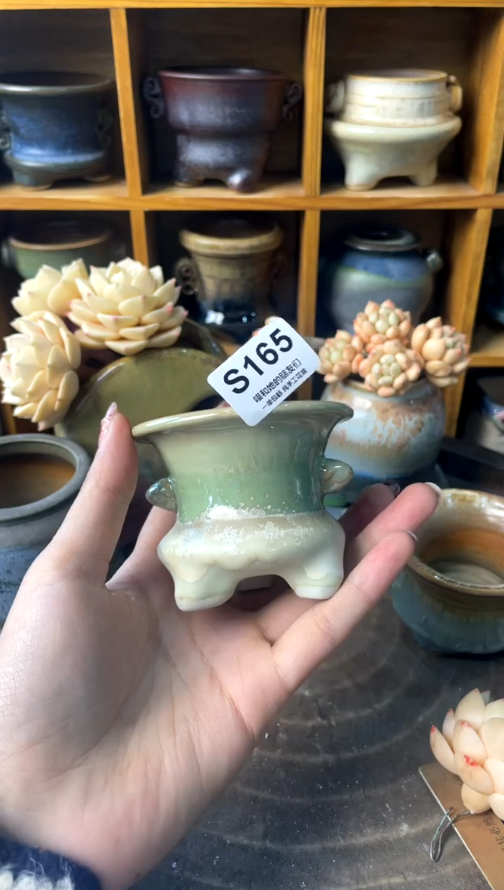 165【多肉花盆多肉盆】