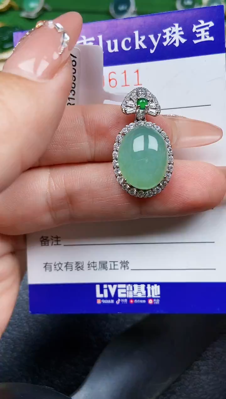 【闪购商品】翡翠颈饰银S925镶嵌0611