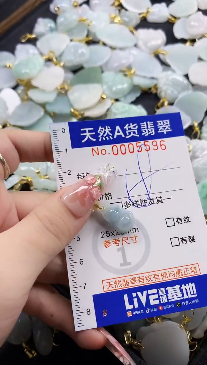 颈饰未镶嵌翡翠天然A货翡翠