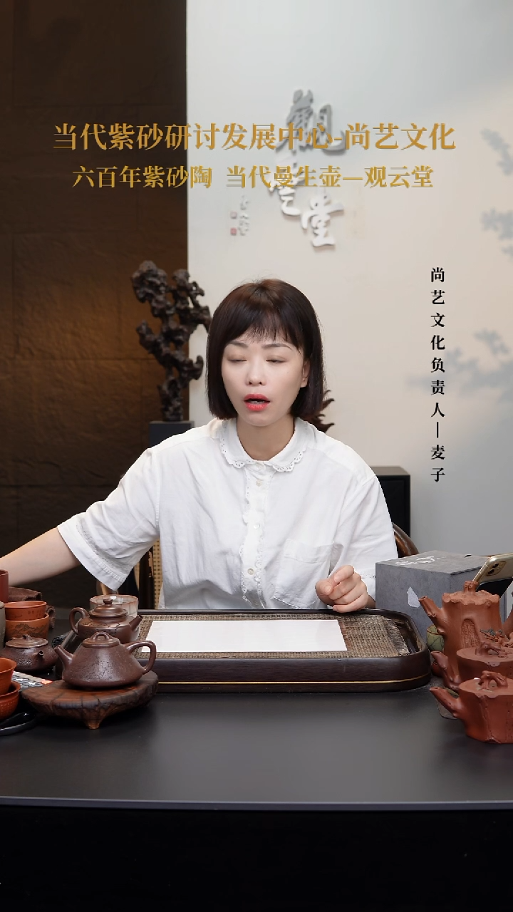 茶壶紫砂紫砂壶 10号 冰窖底槽青