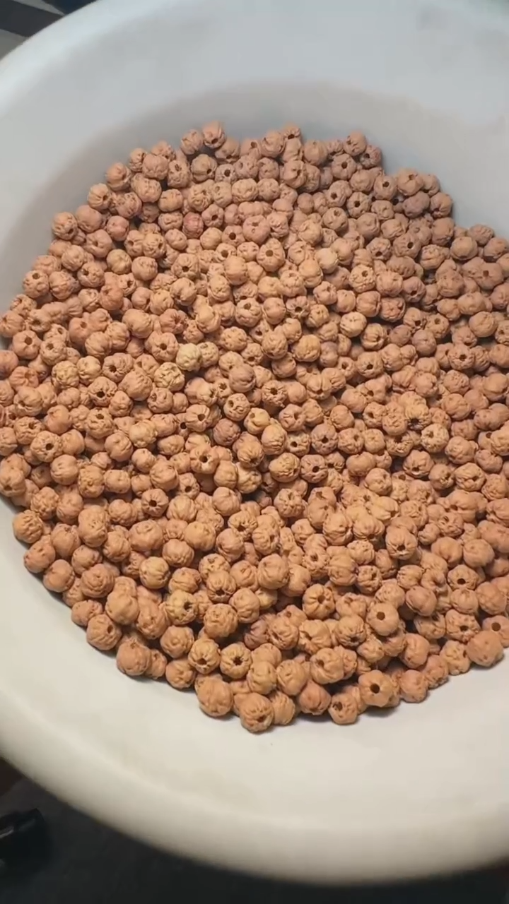 金刚菩提手串非全品原桩佛手散籽5-6mm一份一百颗