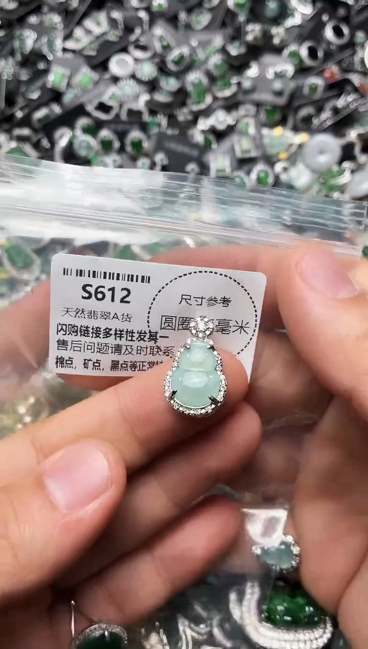 翡翠未镶嵌颈饰S612吊坠