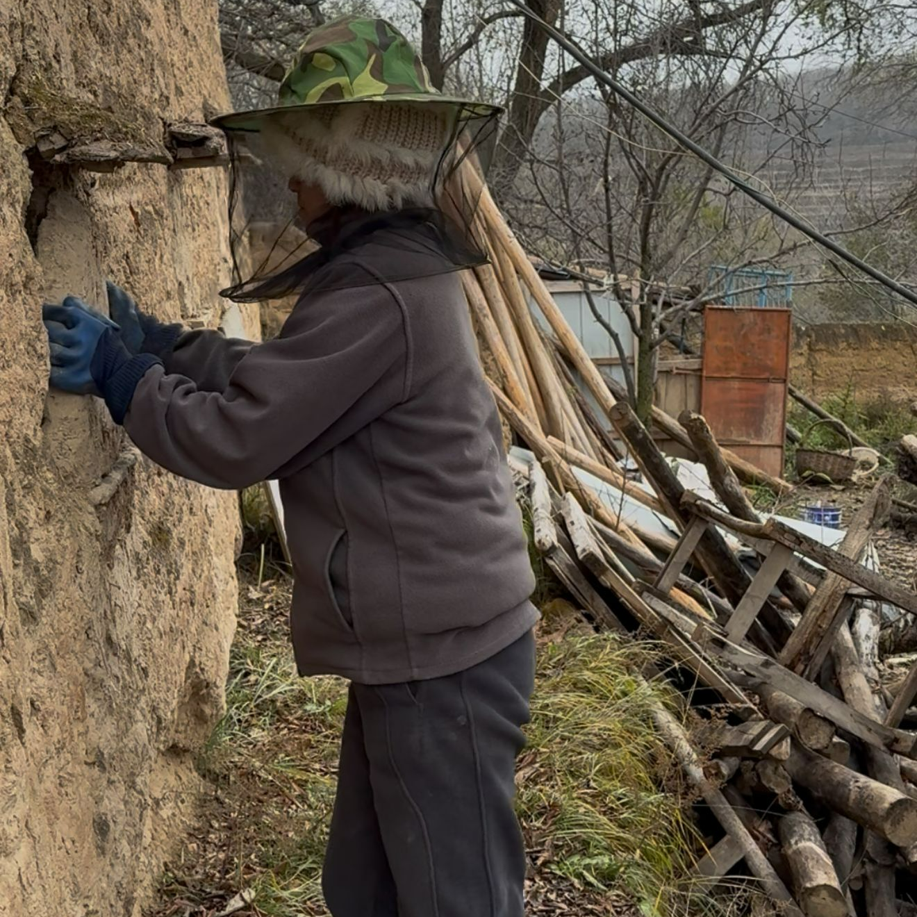 【丑小鸭专属】甘肃会宁特产结晶土蜂蜜