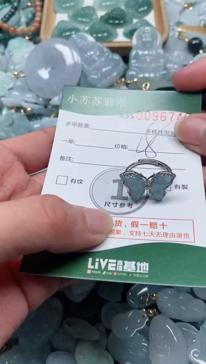 【闪购商品】翡翠颈饰未镶嵌闪购商品0096749