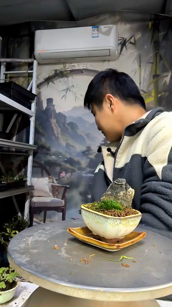 长****行中青园艺一物一拍花436