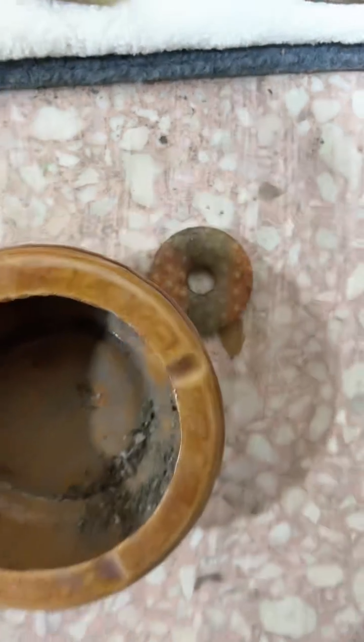 【闪购商品】瓷片瓷瓷瓷瓷瓷瓷瓷瓷瓷瓷瓷瓷瓷
