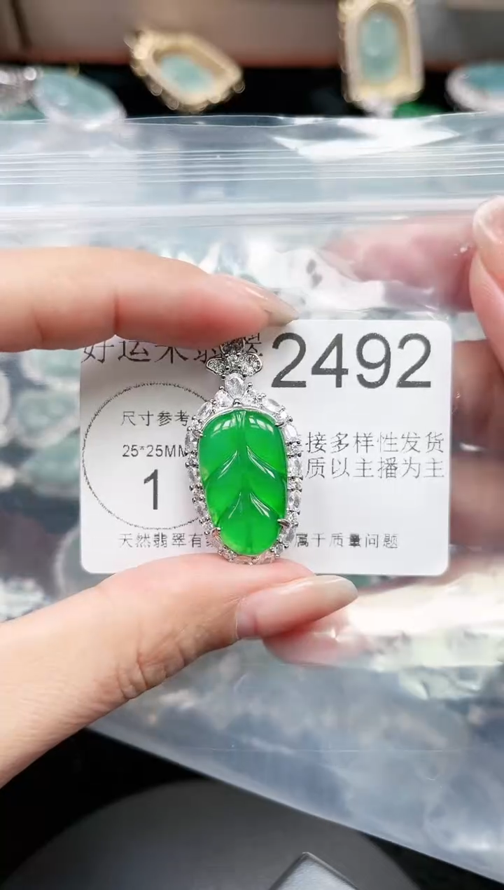 【闪购商品】翡翠颈饰未镶嵌赠皮绳2492