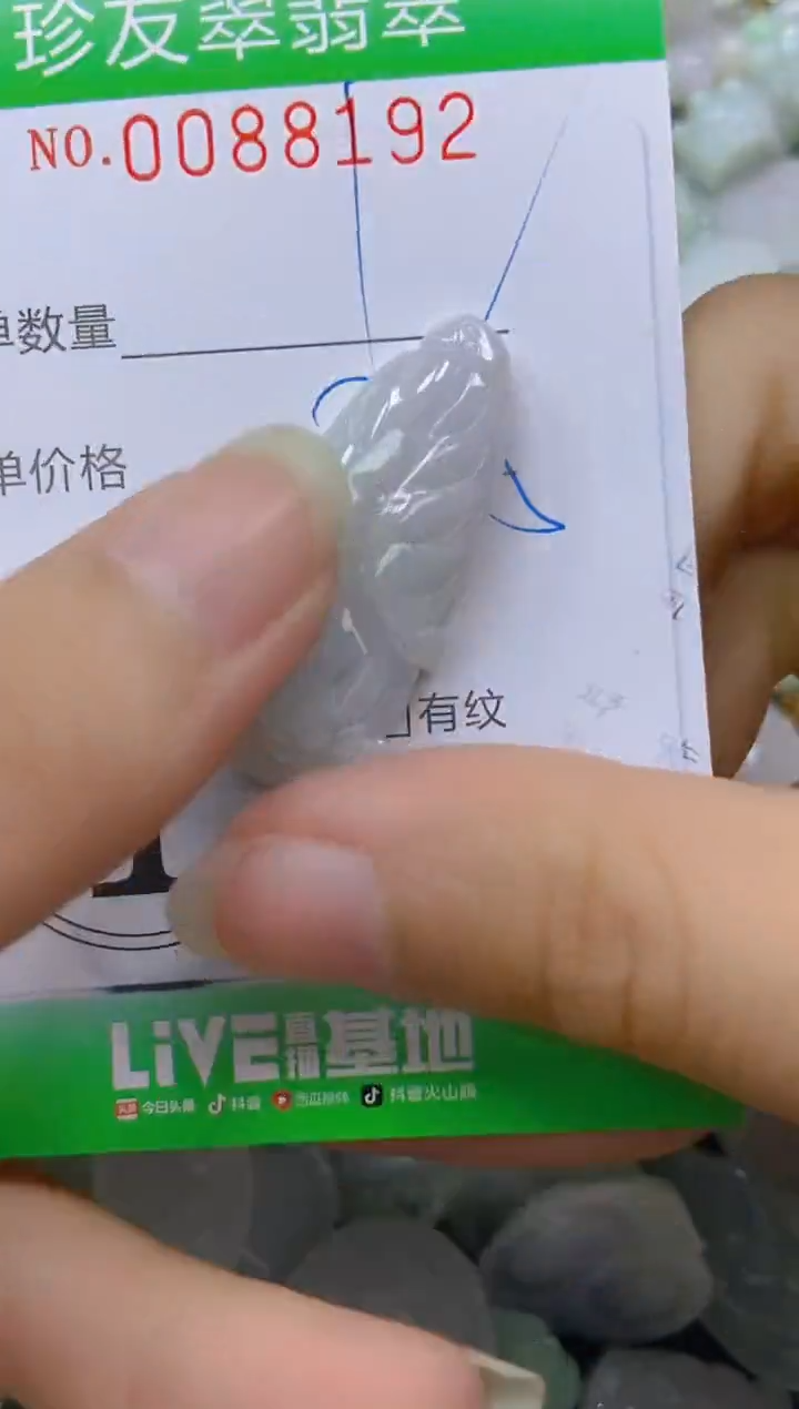 【闪购商品】翡翠颈饰未镶嵌闪购0088192
