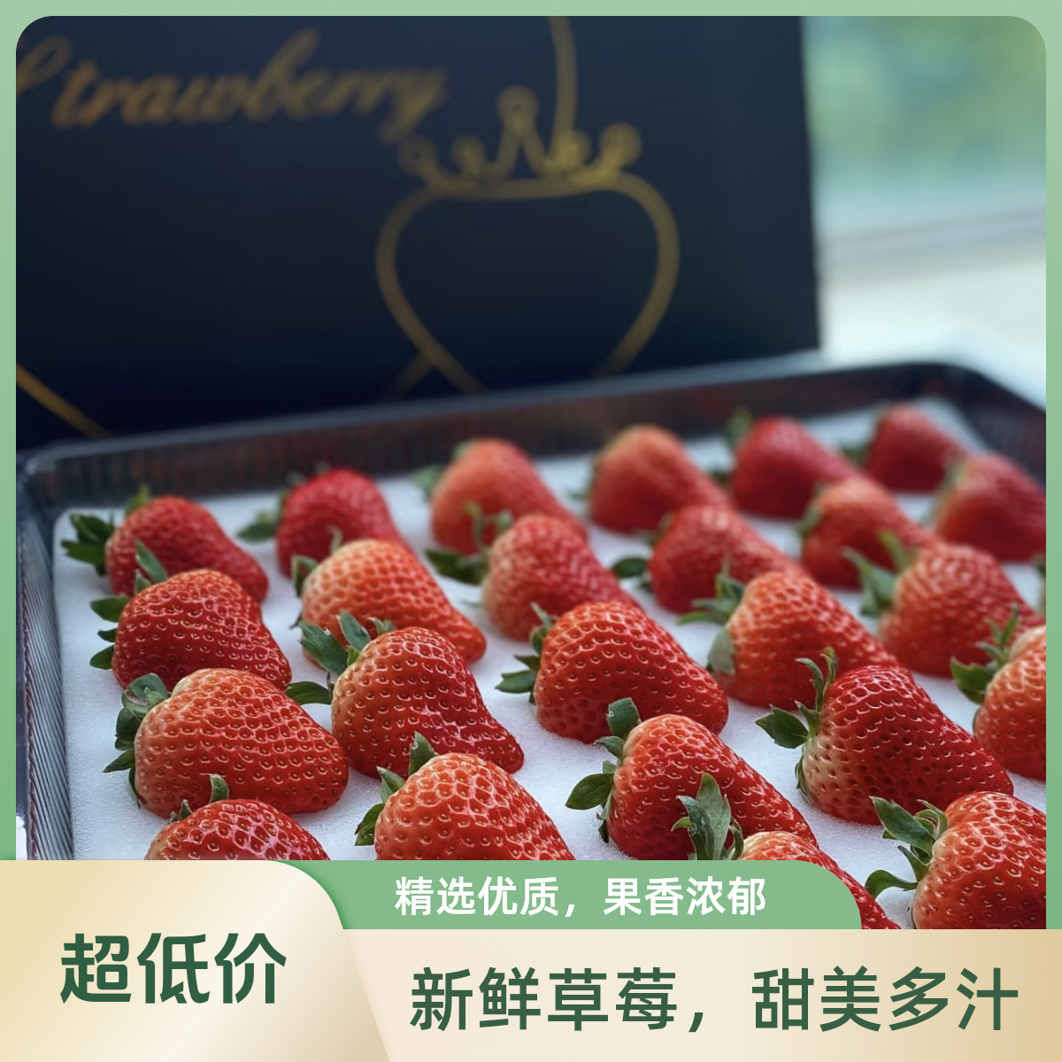 【24粒礼盒】红颜99草莓【产地直发】