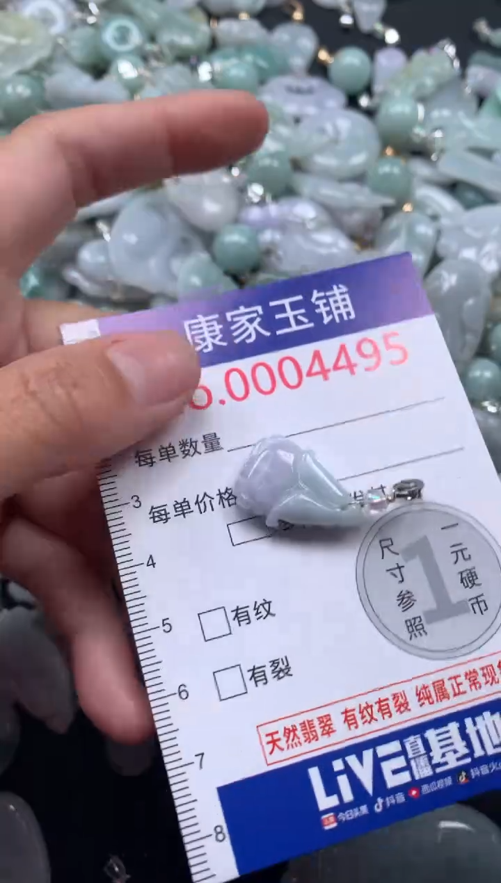 颈饰未镶嵌翡翠4495