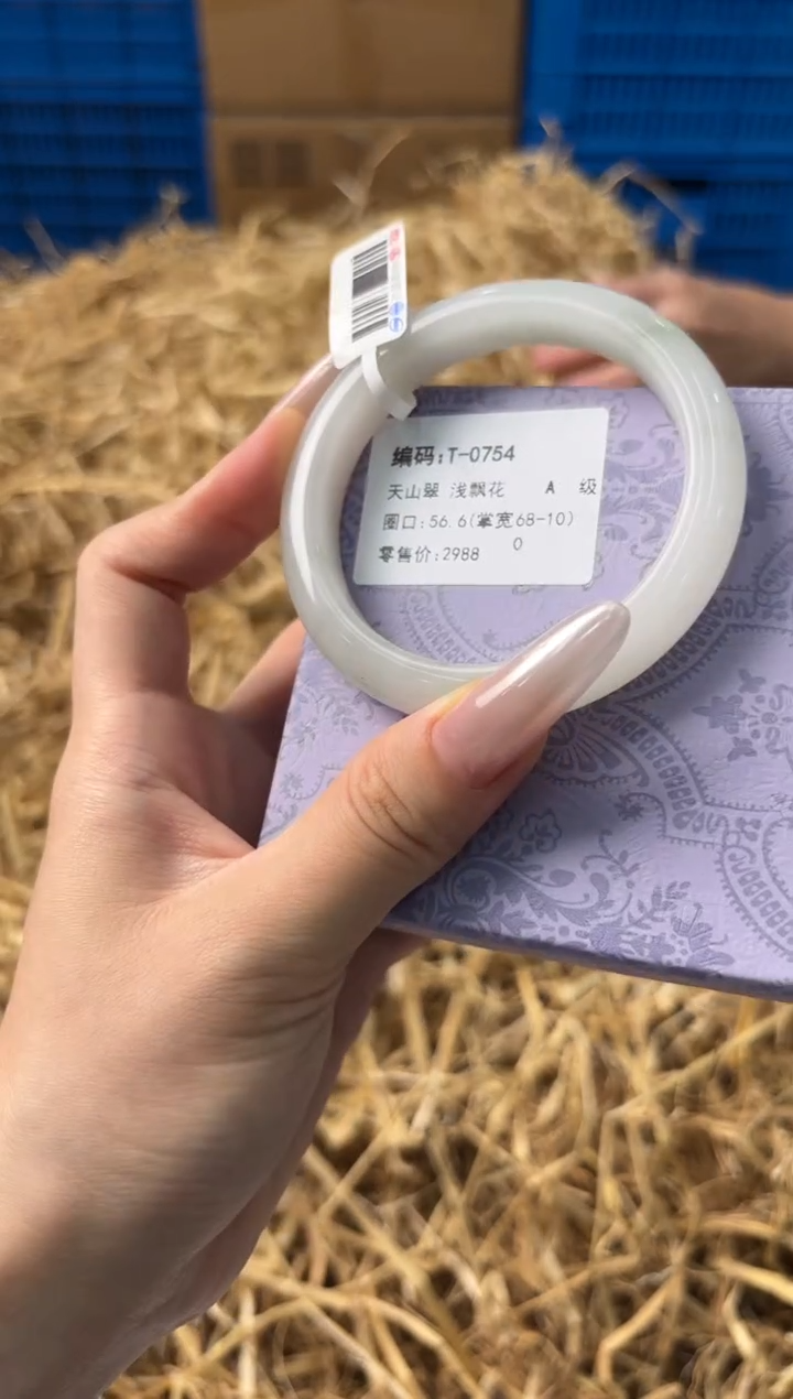 未镶嵌手镯石英质玉T-0754