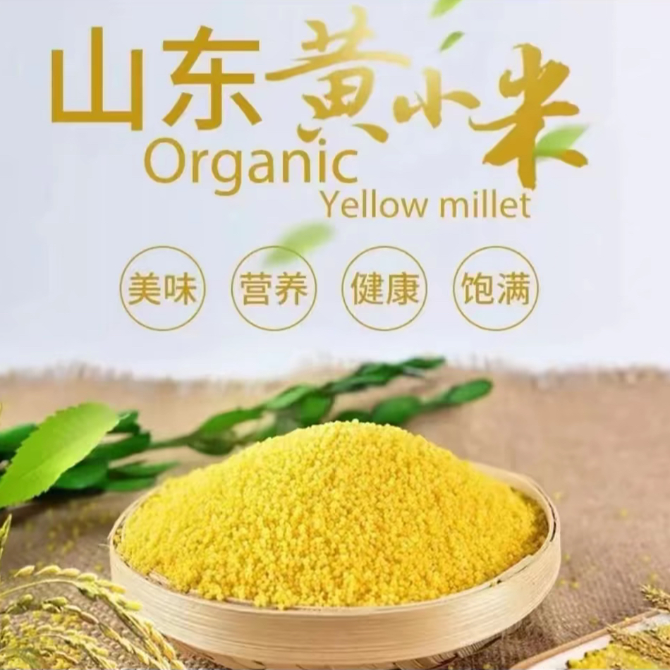 山东美味营养黄小米