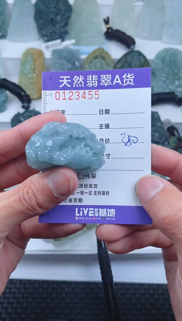 【闪购商品】翡翠颈饰未镶嵌        455