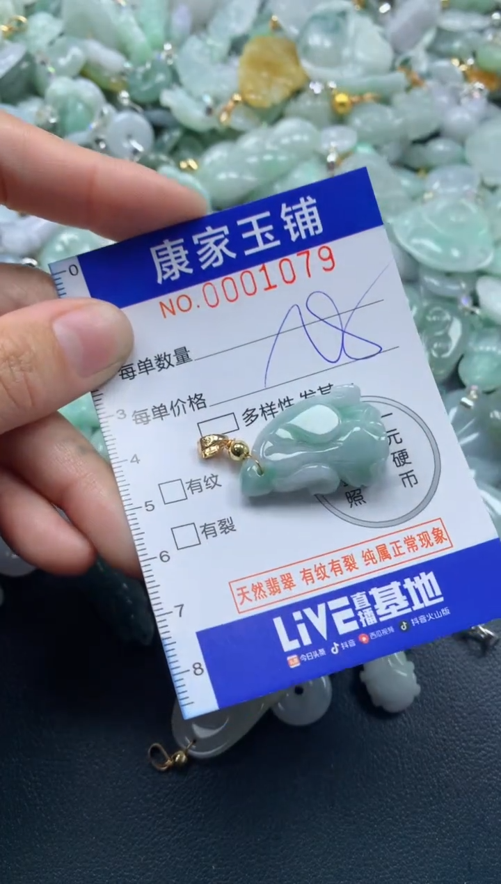 颈饰未镶嵌翡翠1079