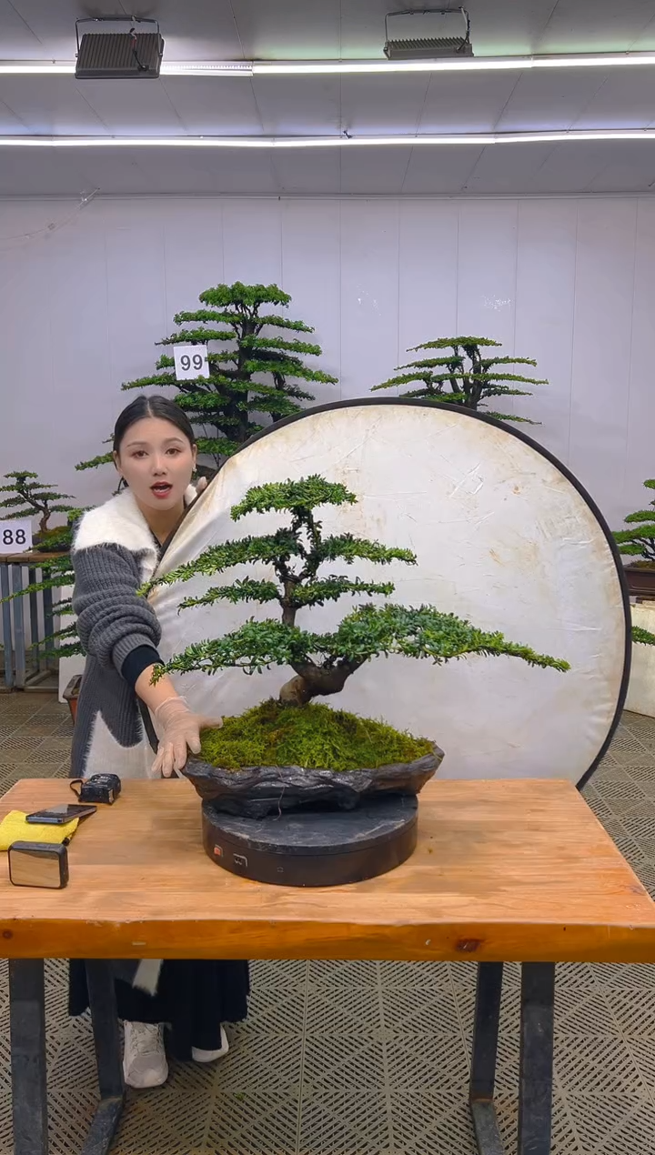 无花朵一物一拍一物一拍