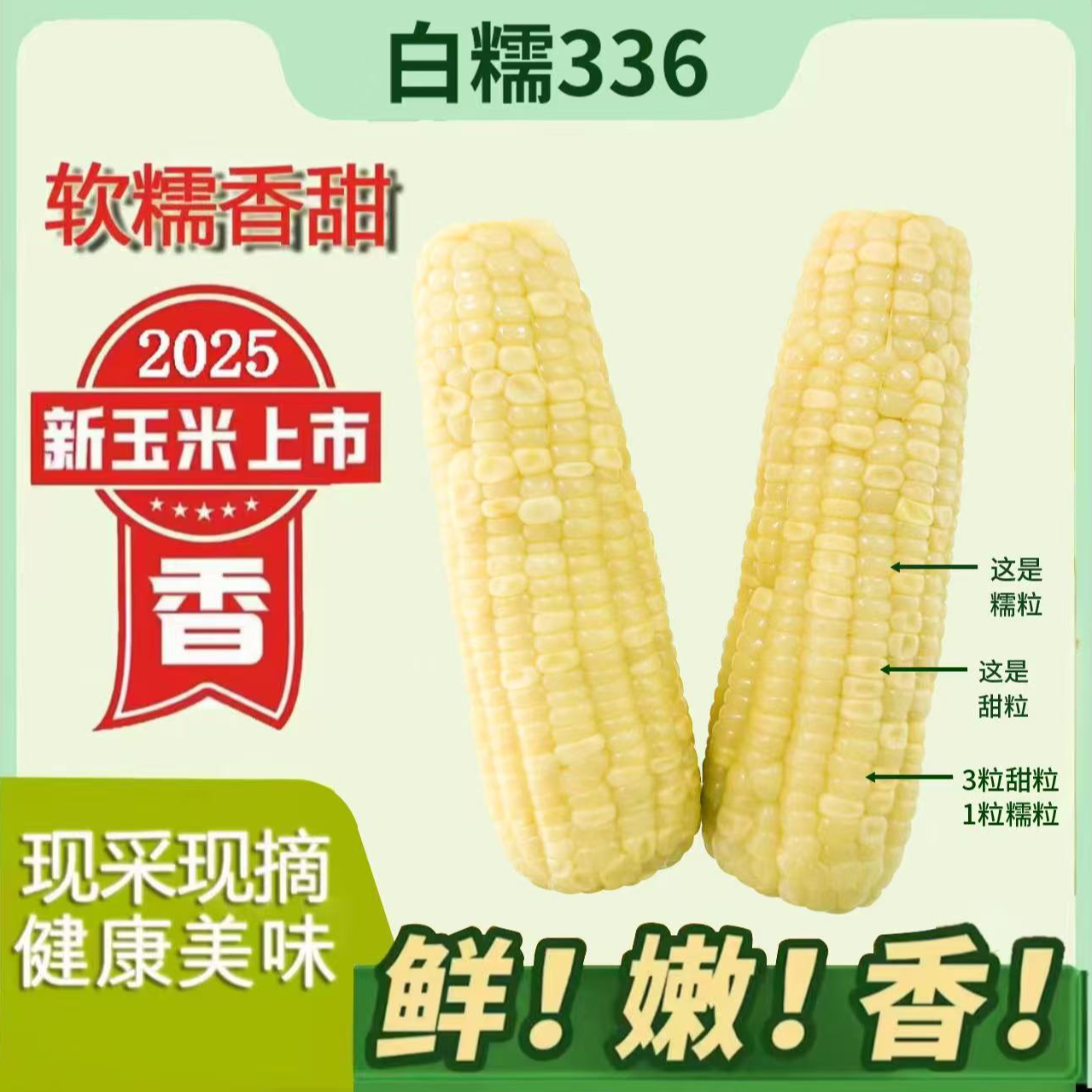 2025头茬东北白糯玉米软糯香甜好吃整箱10根6斤以上试吃2支