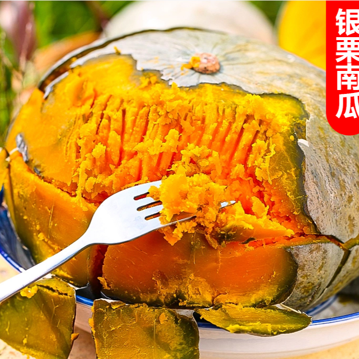 【新疆直发】沙漠种植银栗南瓜粉面香甜宝宝辅食粗粮5斤