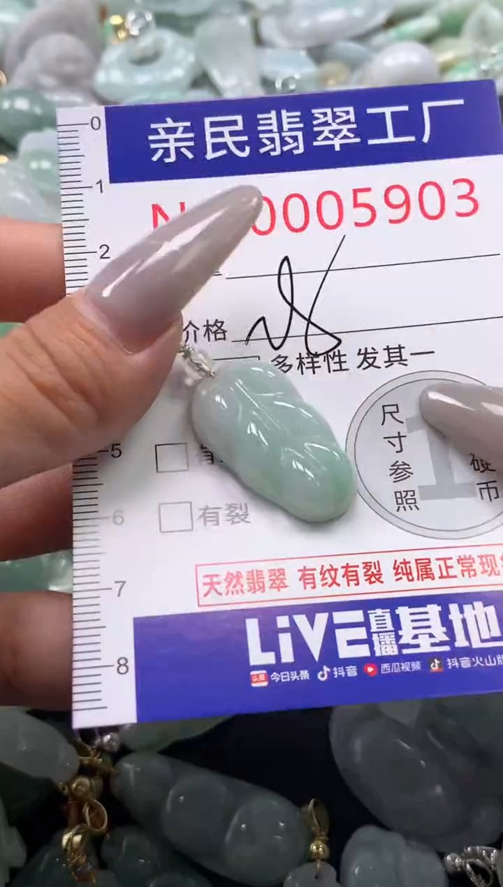 颈饰未镶嵌翡翠5903