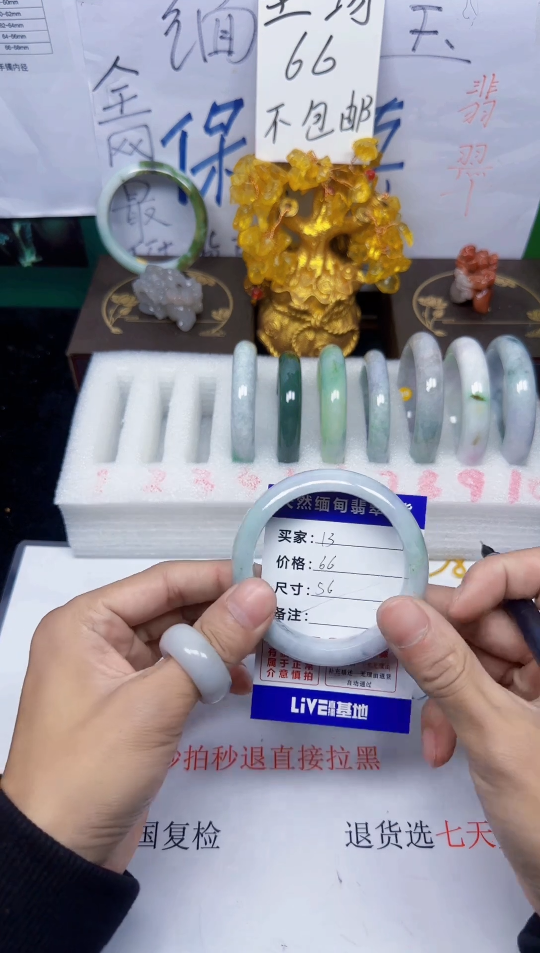 未镶嵌手镯翡翠13