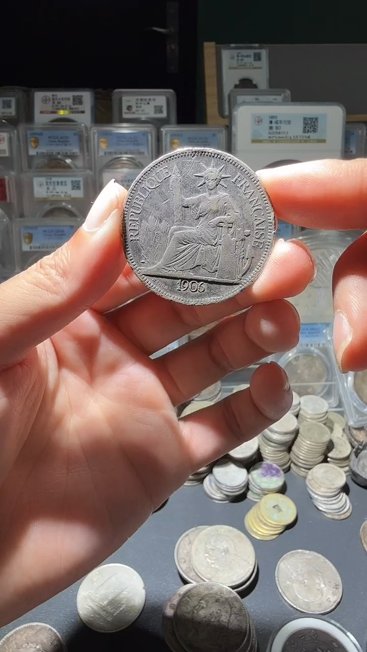 大叶紫檀（黑酸枝木类）大坐洋一个小师妹6