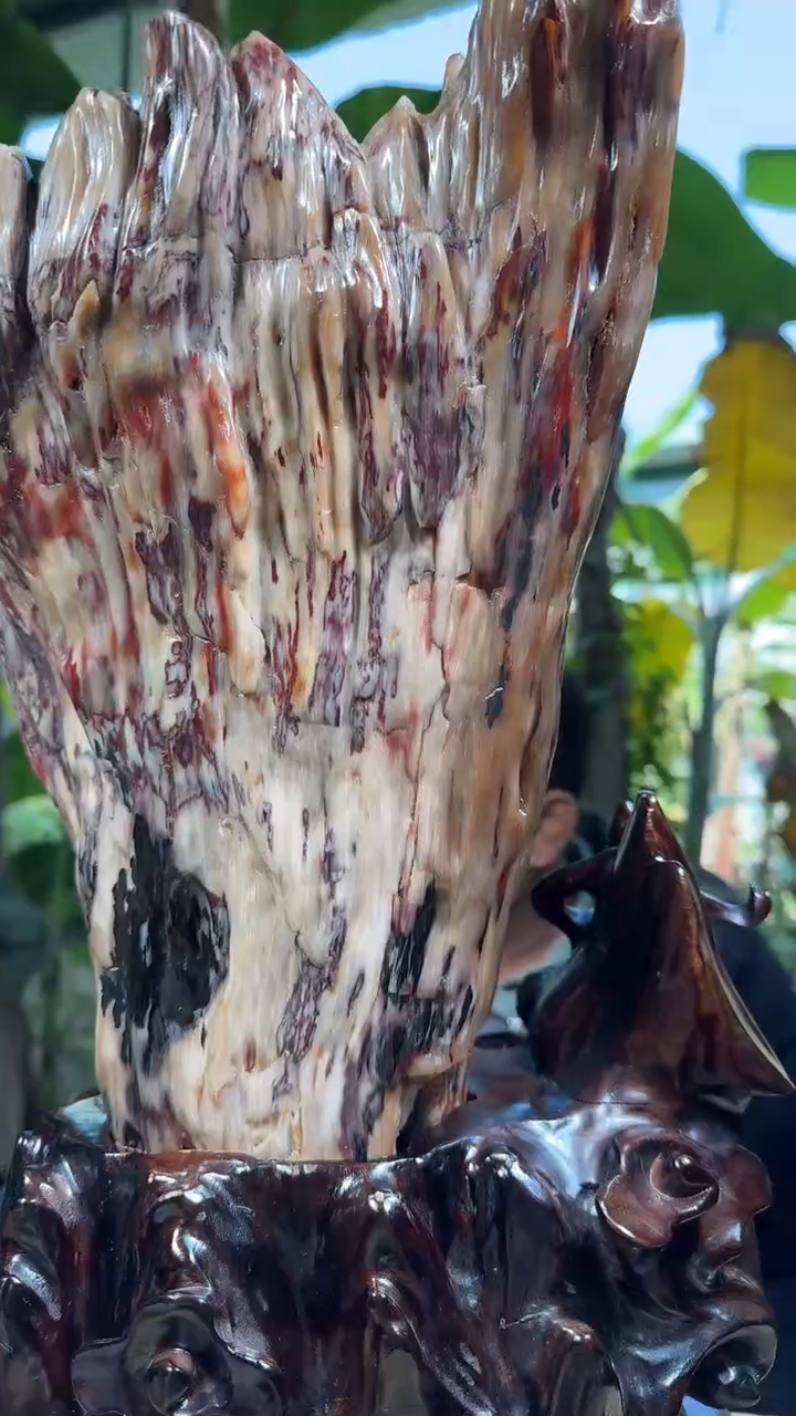 【闪购商品】硅化玉珠宝奇石未镶嵌拍一发一