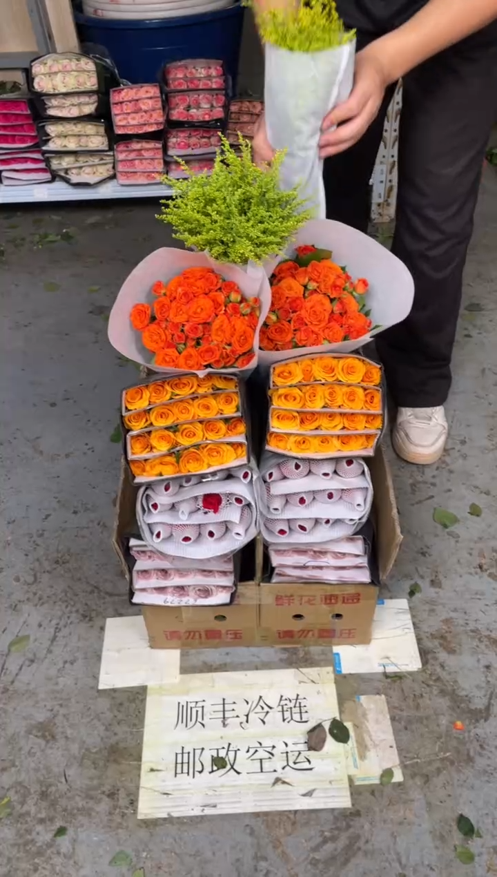 乌梅子酱20枝+自由20枝+辉煌20枝+橙色芭比10枝+黄莺