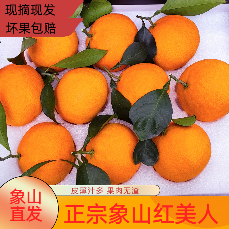 正宗象山红美人柑橘爱媛28号当季水果新鲜现摘礼盒装顺丰京东包邮