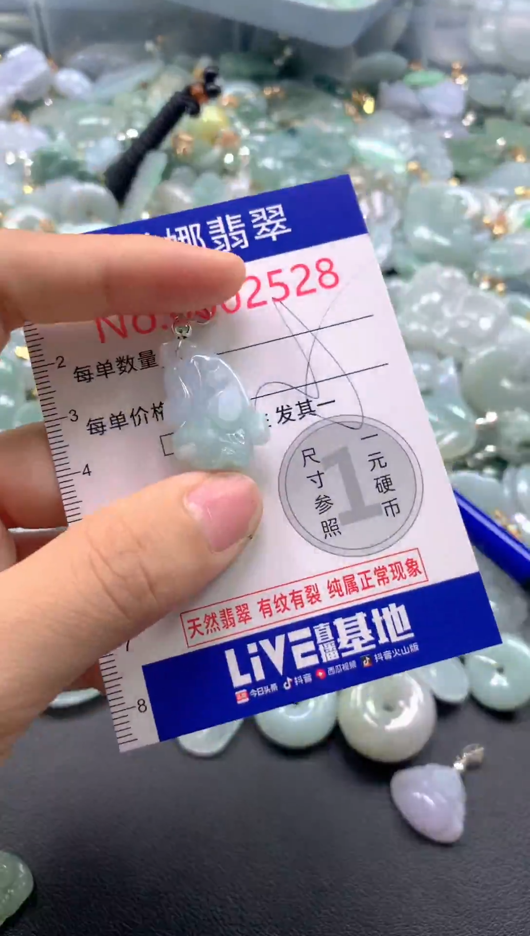 颈饰未镶嵌翡翠2528