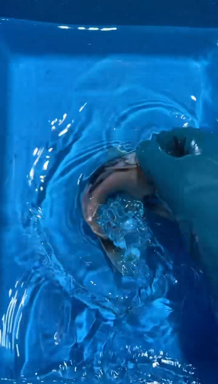 锦鲤点关注右下角竞拍链接出价