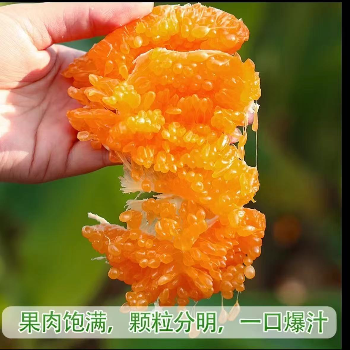 正宗耙耙柑春见，自然成熟，89分甜一两分酸，吃得安心