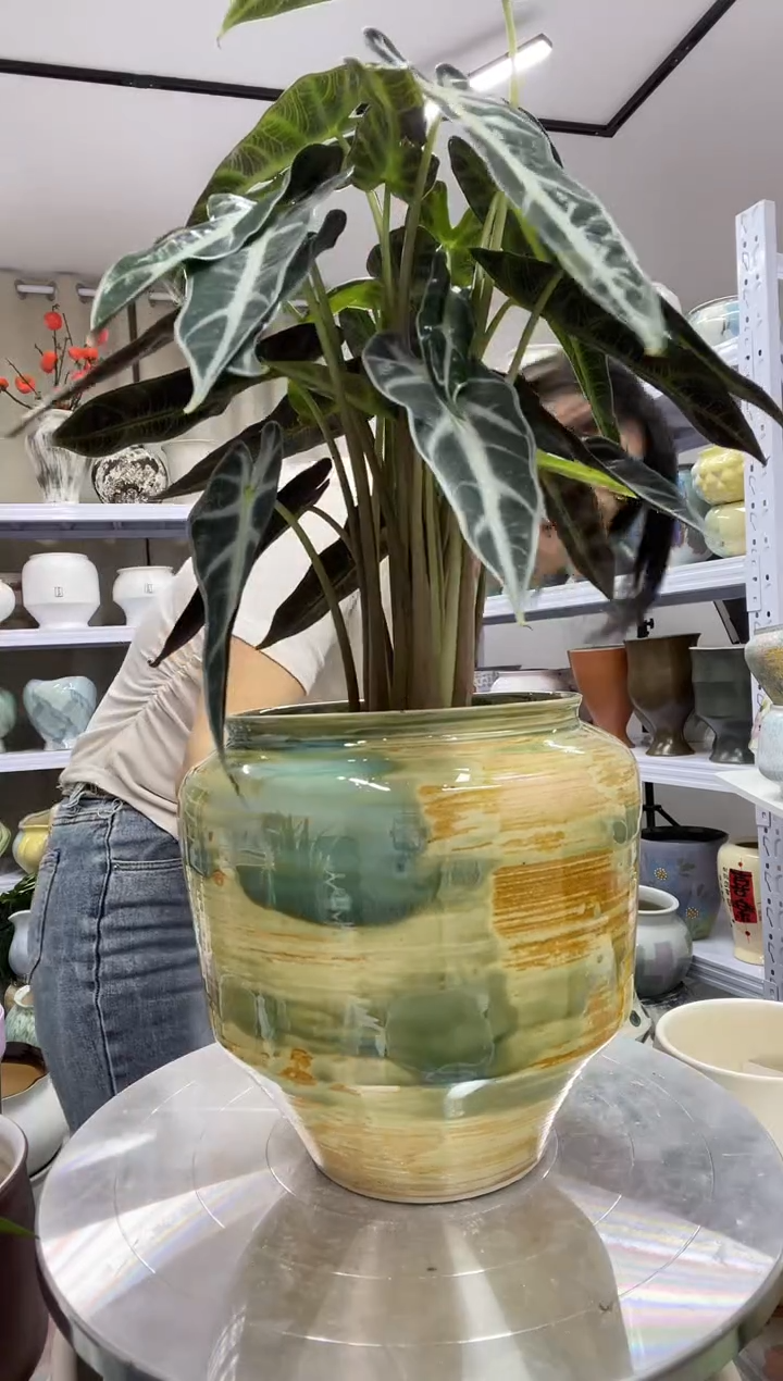 9-7直播链接精选陶瓷花盆