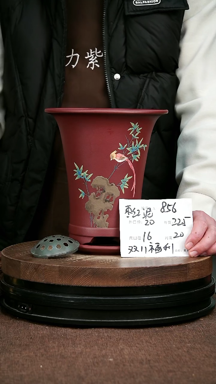 紫砂花盆花卉园艺856+Z