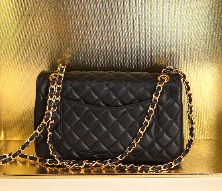 55（全新未拆封）轻奢时尚潮流气质单肩斜跨女士包包 26-6-16cm