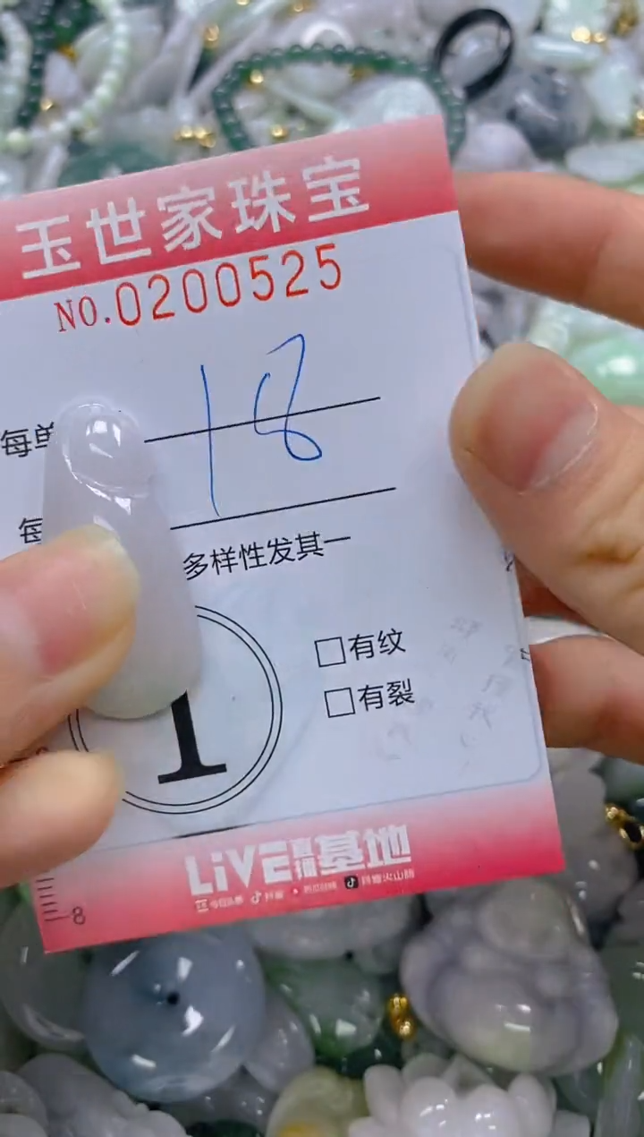 【闪购商品】翡翠颈饰未镶嵌闪购0200525
