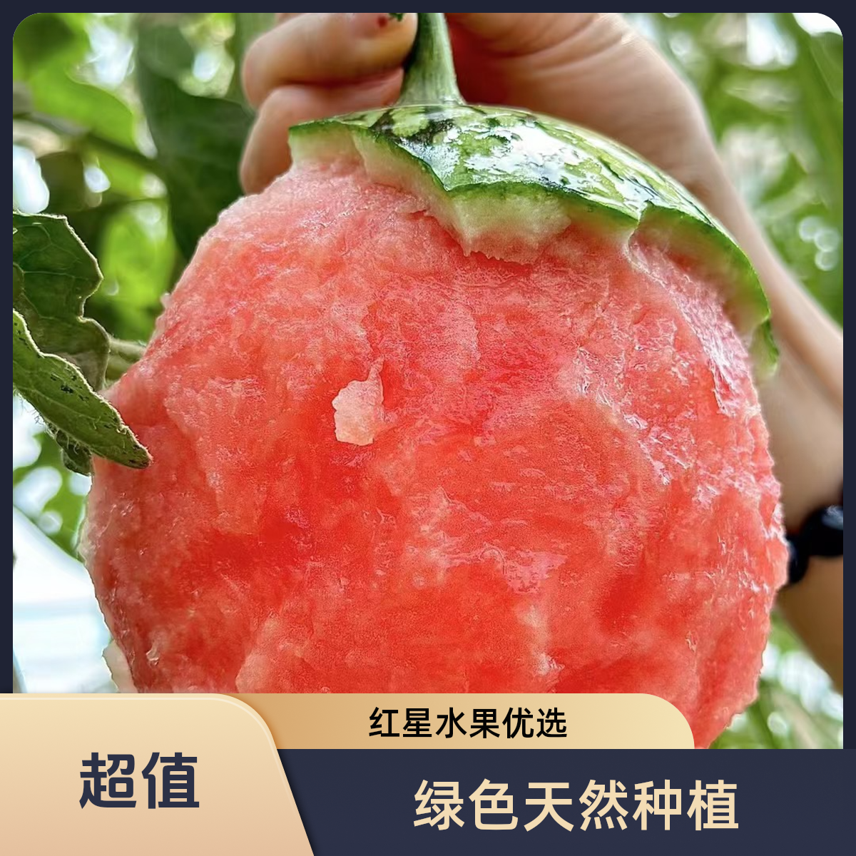 【红星水果优选】云南当季新鲜绵密甘甜多汁小糖丸西瓜2个装【顺丰次日达】云南省
