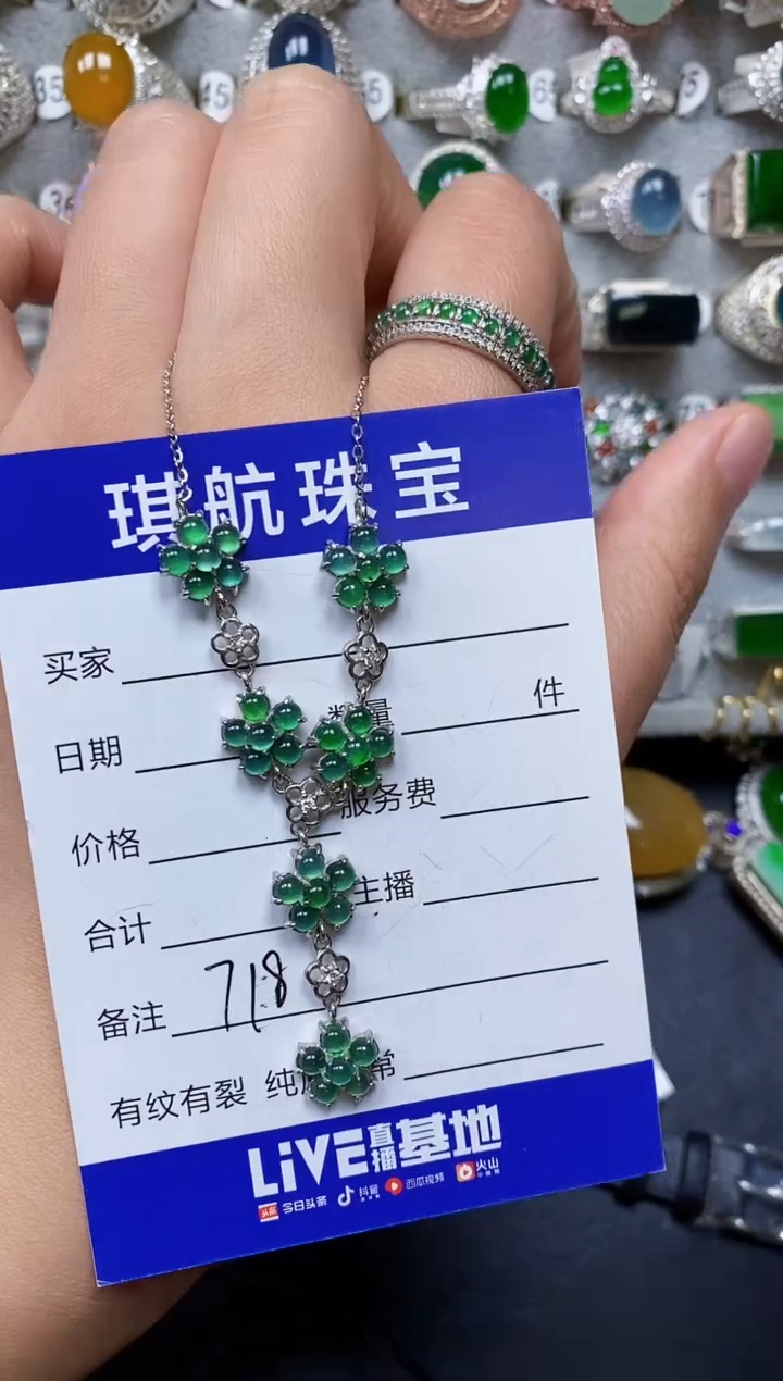 【闪购商品】翡翠颈饰银S925镶嵌0718