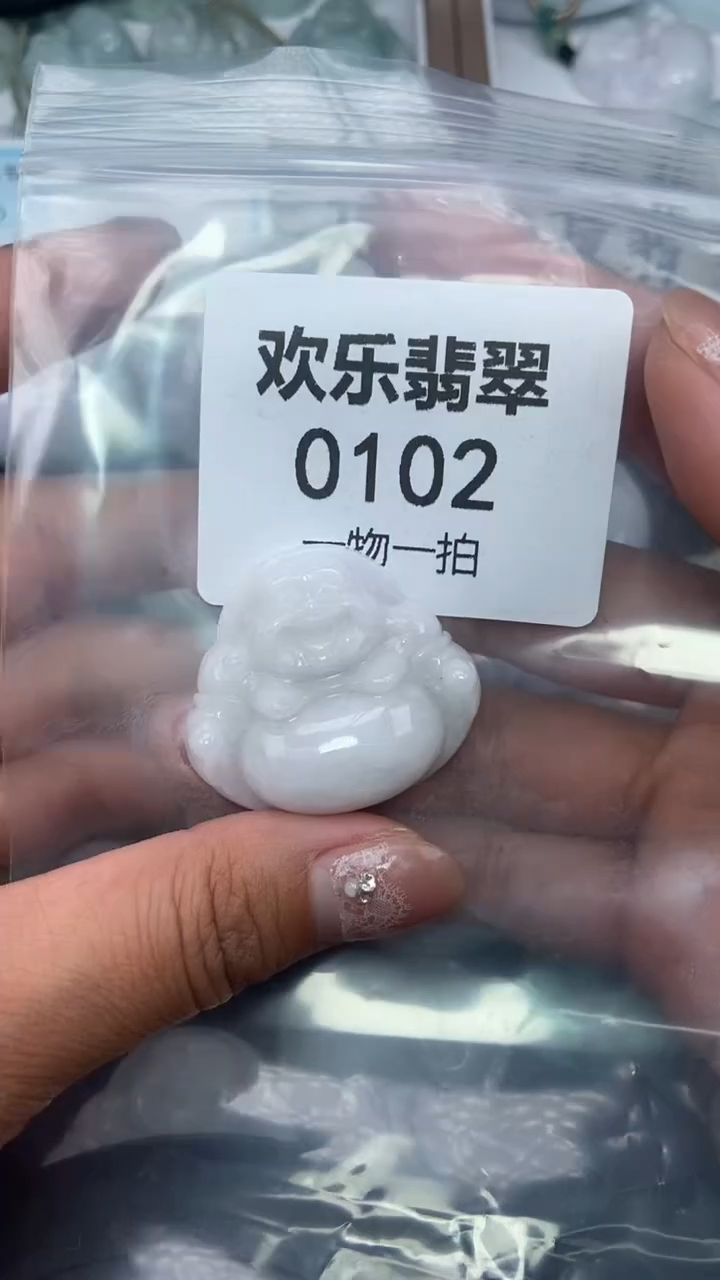 颈饰未镶嵌翡翠缅甸天然翡翠0102