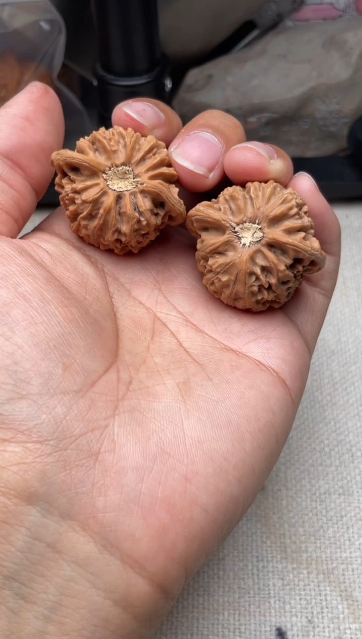 把件文玩核桃用****21203-用户2354022060552-宫灯