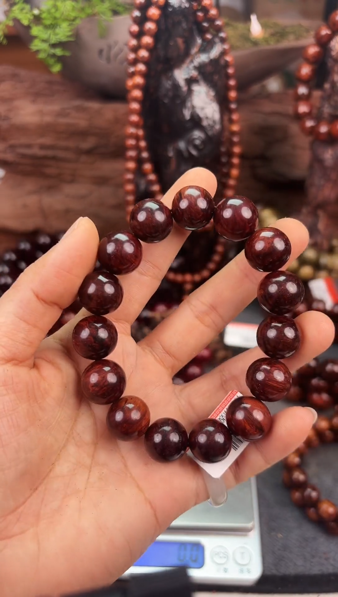 降真香海南红降花梨公1.5高货黄油芝麻点30g