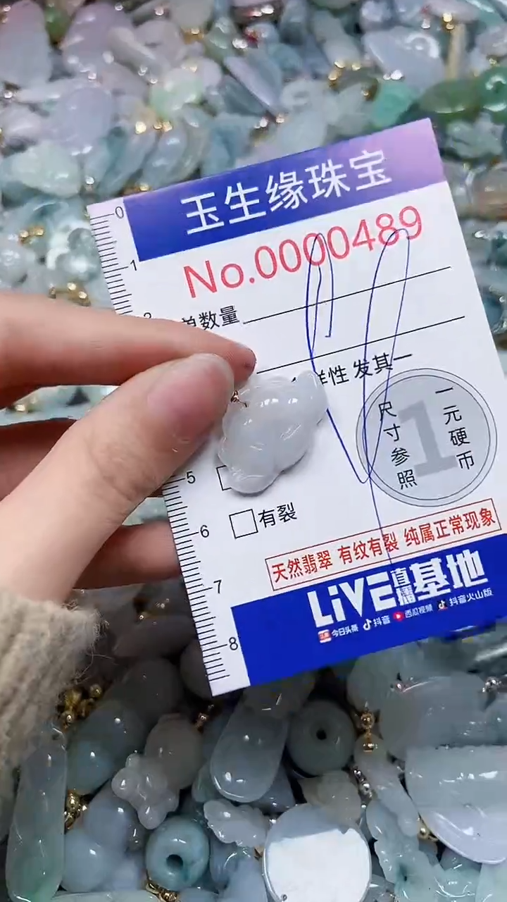 【闪购商品】翡翠颈饰未镶嵌闪购00000489