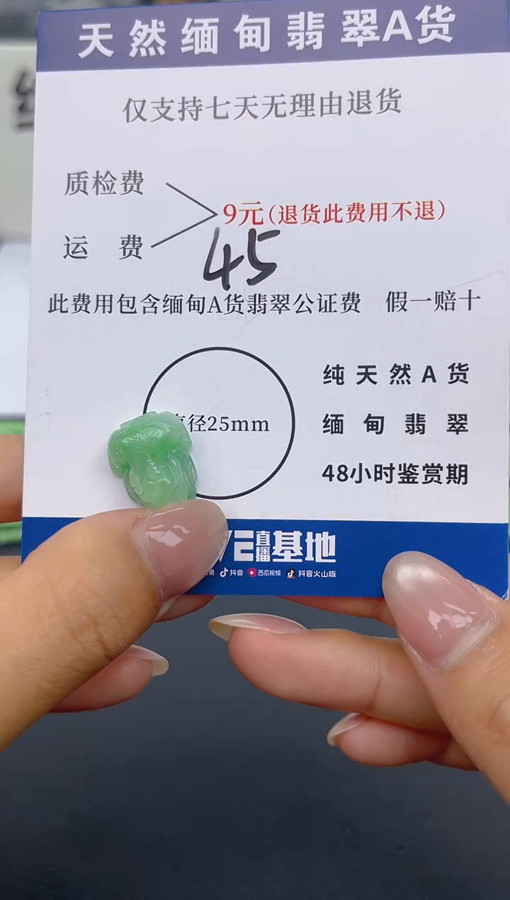 颈饰未镶嵌翡翠纯天然缅甸翡翠A货