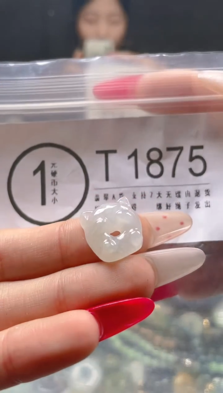 【闪购商品】翡翠颈饰未镶嵌/T/翡翠A货一图一物