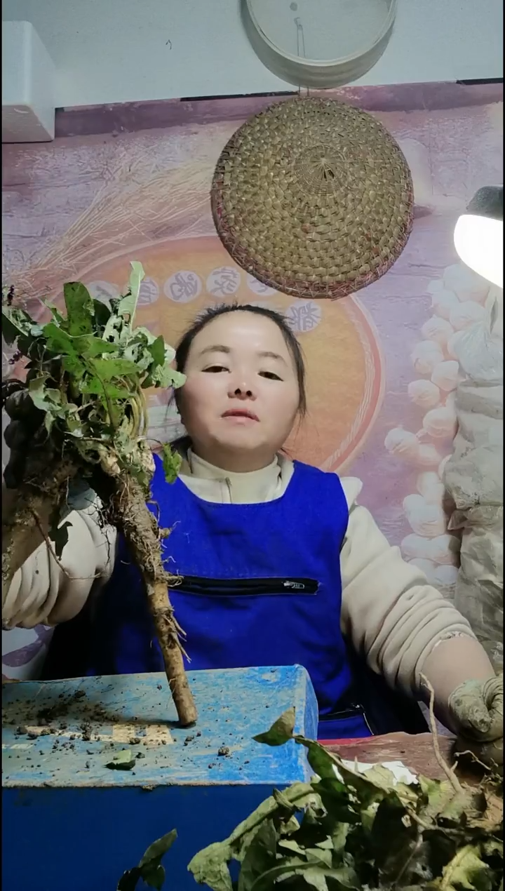 少量花朵（建议范围：2朵-5朵 或40%以下）石*蒲公英