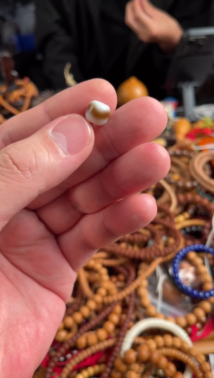 未镶嵌.玛瑙/玉髓王胖子文玩工作室白虎牙1.0左右随机发