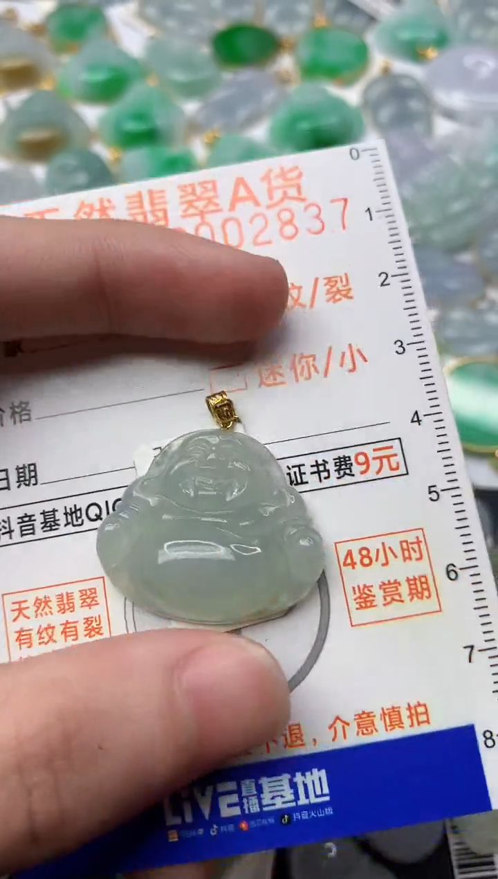 【闪购商品】翡翠颈饰18K金镶嵌5.........